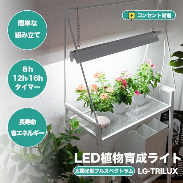 LED植物育成ライト 卓上育成ライト 卓上 植物育成 室内植物栽培 テーブルグローランプ タイマー ...