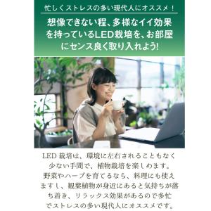 LED 植物育成 水耕栽培 LEDライト 観葉...の詳細画像2