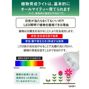 LED 植物育成 水耕栽培 LEDライト 観葉...の詳細画像3