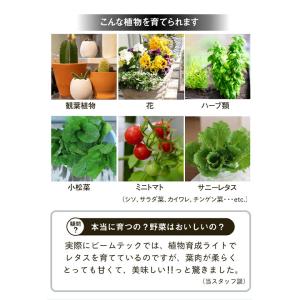 LED 植物育成 水耕栽培 LEDライト 観葉...の詳細画像5