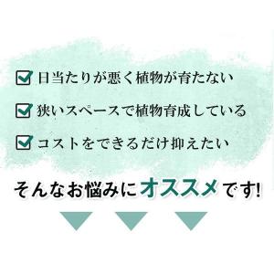 led 植物育成 水耕栽培 ledライト 観葉...の詳細画像2