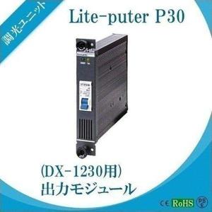 Lite-Puter ライトピューター P30 DX-1230用 出力モジュール｜beamtec