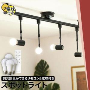 シーリングライト おしゃれ スポット LED ライト 天井照明 ライティングレール ダクトレール RAIL-SET56-SMOOVE ビームテック｜beamtec