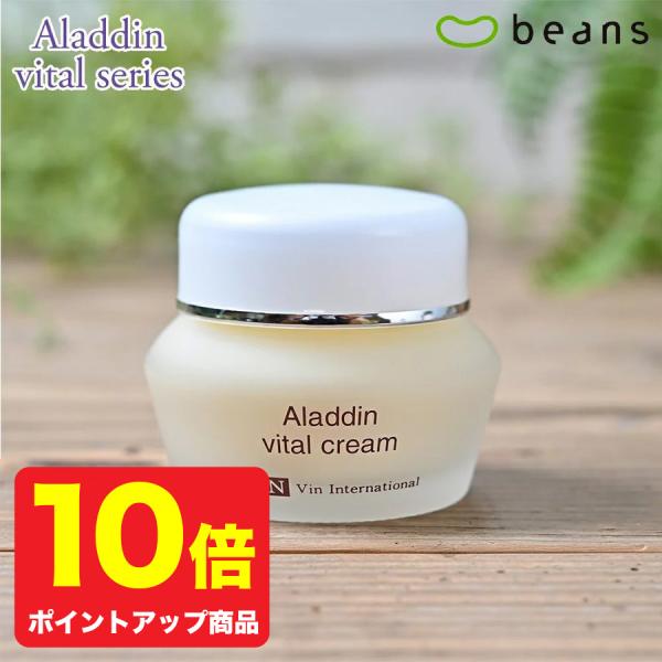 VIN（バン）イオニート　アラジン　バイタルクリーム　40g