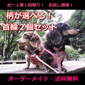 １回限定  人気のお試し犬用首輪２個セット  オーダーメイドで作成  小型犬  中型犬  子犬  手作り