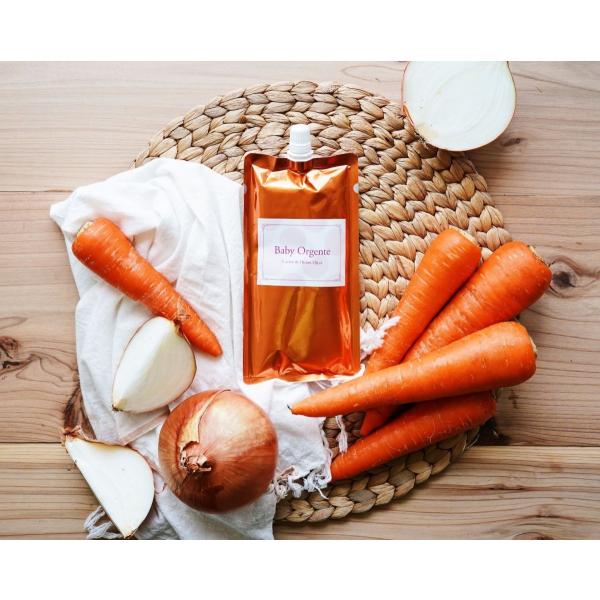 【大サイズ・160g】離乳食 無添加 オーガニック 有機無農薬 野菜 天然だし BabyOrgent...