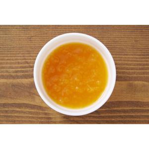 離乳食 無添加 ベビーフード オーガニック 有...の詳細画像1