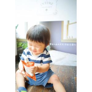 離乳食 無添加 ベビーフード オーガニック 有...の詳細画像5