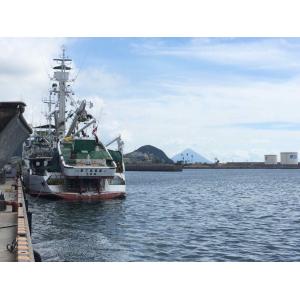 離乳食 無添加 オーガニック 有機無農薬 野菜...の詳細画像1