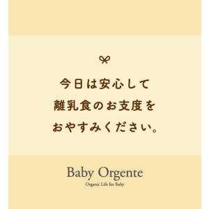 離乳食 無添加 オーガニック 有機無農薬 野菜...の詳細画像5