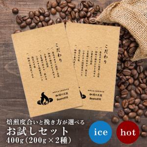 コーヒー お試しセット 200g×2種/生豆時 ネコポス送料無料 焙煎指定 おいしい コーヒー豆 ブラック アイスコーヒー ブラックコーヒー 生豆 焙煎