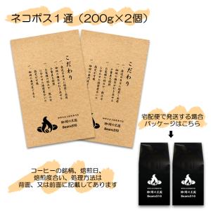 コーヒー豆 珈琲豆 アイス お試しセット 20...の詳細画像1