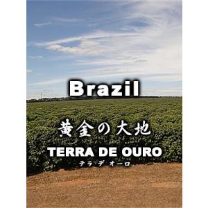 テラ・デ・オーロ(黄金の大地・ブラジル産）/200g