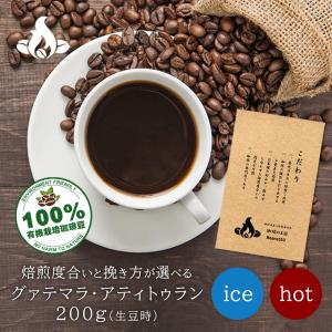 フォーデイズ スパーク ファイア パワーエナジー アミノフォース 24本