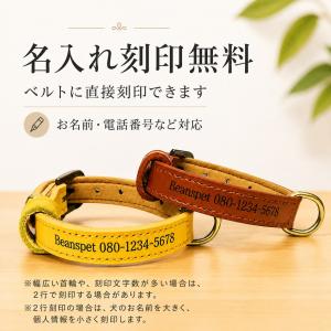 名入れ無料 本革 犬用首輪 XS〜XLサイズ対...の詳細画像1