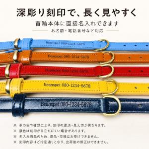 名入れ無料 本革 犬用首輪 XS〜XLサイズ対...の詳細画像2