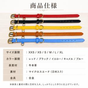 名入れ無料 本革 犬用首輪 XS〜XLサイズ対...の詳細画像3