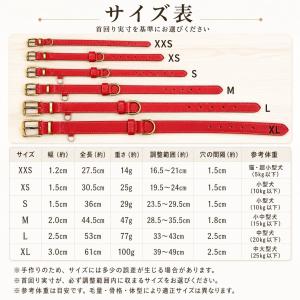 名入れ無料 本革 犬用首輪 XS〜XLサイズ対...の詳細画像4
