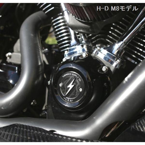 THRASHIN SUPPLY・M8・DISHD ポイントカバー・ブラック　0940-1846　TS...