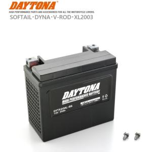 Harley Davidson（ハーレー・ダビッドソン） DAYTONA