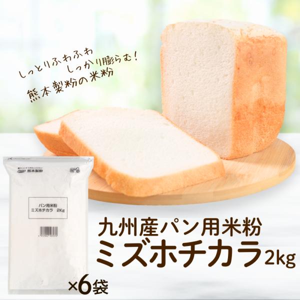 パン用米粉 ミズホチカラ 2K×6袋（送料無料）