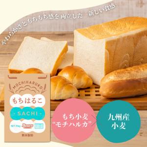 パン用小麦粉 もちはるこSACHI 25kg 強...の商品画像