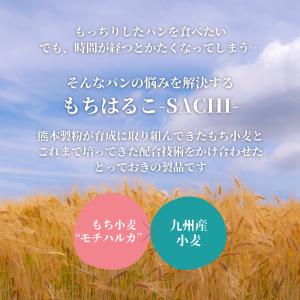 パン用小麦粉 もちはるこSACHI 25kg ...の詳細画像1