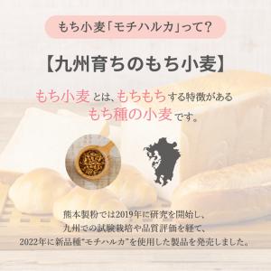 パン用小麦粉 もちはるこSACHI 25kg ...の詳細画像2