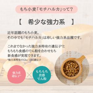 パン用小麦粉 もちはるこSACHI 25kg ...の詳細画像3