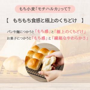 パン用小麦粉 もちはるこSACHI 25kg ...の詳細画像4