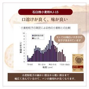 熊本県産小麦 パン石臼挽小麦粉KJ-15 15...の詳細画像3