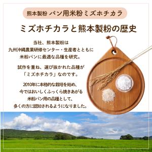 パン用米粉 ミズホチカラ 2Kg 熊本製粉 九...の詳細画像4