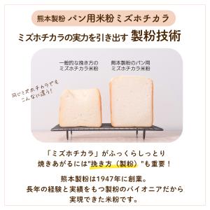 パン用米粉 ミズホチカラ 2Kg 熊本製粉 九...の詳細画像5