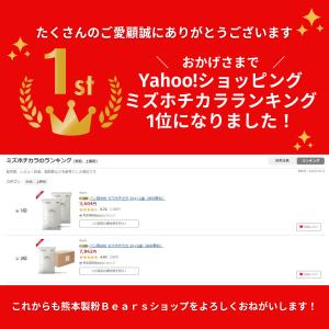 パン用米粉 ミズホチカラ 2Kg 熊本製粉 九...の詳細画像2