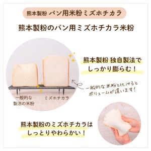 パン用米粉 ミズホチカラ 2Kg 熊本製粉 九...の詳細画像3