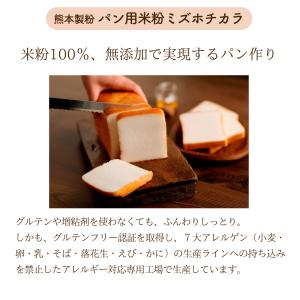 パン用米粉 ミズホチカラ 2Kg ヤマトフルフ...の詳細画像5