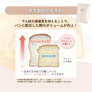 おひさま玄米粉1kg パン 菓子 料理 米粉 ...の詳細画像2