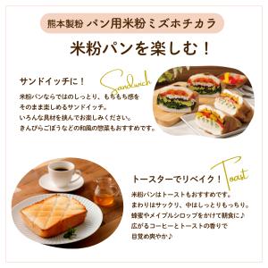 パン用米粉 九州ミズホチカラ米粉 300g 熊...の詳細画像5