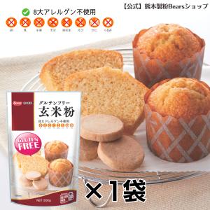 玄米粉 玄米まるごと玄煎粉 山川 北海道産 グルテンフリー 500g : 吉祥