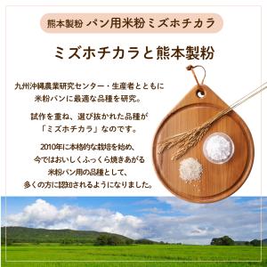 パン用米粉 ミズホチカラ 840g 熊本製粉 ...の詳細画像4