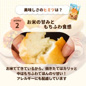 パンだふるパンミックス200g グルテンフリー...の詳細画像4