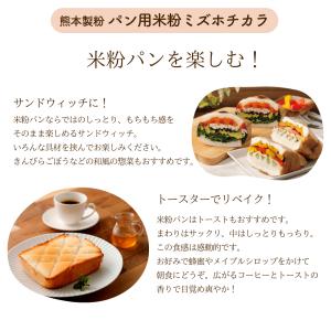 パン用米粉 ミズホチカラ 2Kg×2袋(送料無料)の詳細画像5