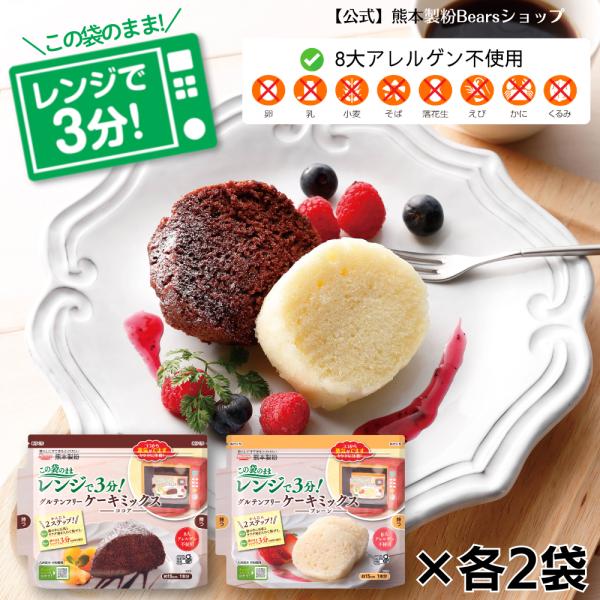 グルテンフリーケーキミックス ココア＆プレーン4個セット  送料無料