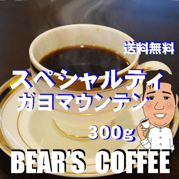 無農薬コーヒー豆ガヨマウンテン 300g コーヒー豆半額 送料無料コーヒー フェアトレードコーヒー ...