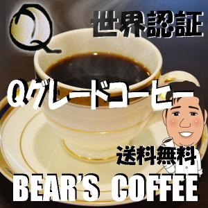 bears coffee コーヒー豆ホンジュラスshg 100g コーヒー送料無料  Qグレードコーヒー コーヒー豆お試し