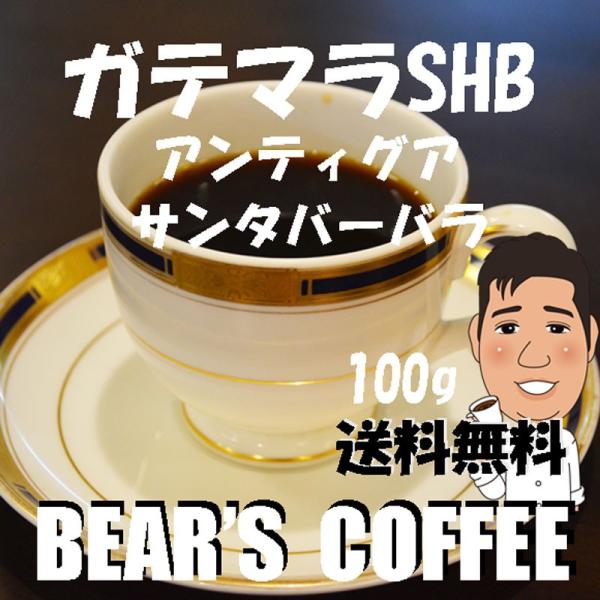 bears coffee コーヒー豆ガテマラ サンタバーバラ 100g コーヒー豆お試し コーヒー豆...