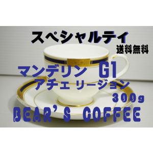 コーヒー豆マンデリン アチェ 300g スペシャルティコーヒ...