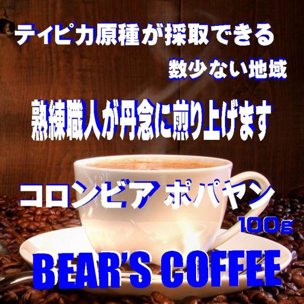 bears coffee コーヒー豆コロンビア ポパヤン 100g コーヒー送料無料 コーヒー豆お試...