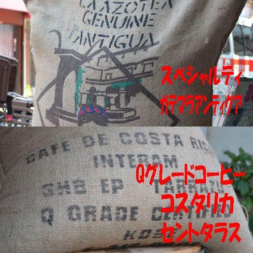 コーヒー豆2種類 コスタリカセントタラス ハニー製法 150g ガテマラ アゾテア 150g　コーヒ...