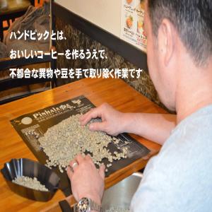 コーヒー豆コロンビア マグダレナ 1kg 送料...の詳細画像3